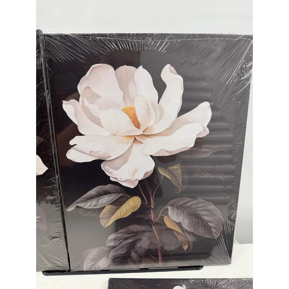 3 Piece Magnolia Floral Canvas Wall Art Set White Flowers Black Background 12x16